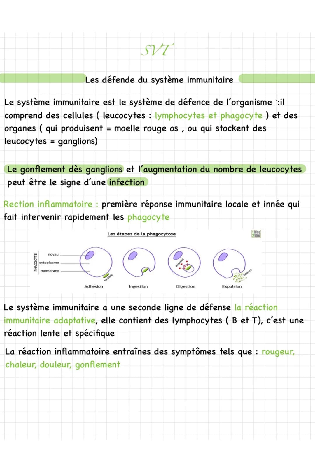 Les décences du système immunitaire
Les lymphocytes B reconnaissent les antigènes et produisent des
anticorps dirigés contre les les antigèn