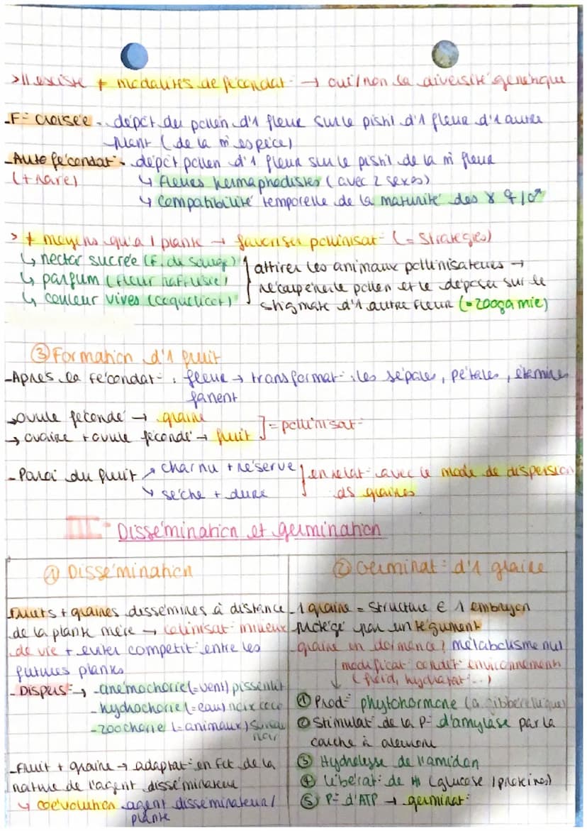 • Reproduction des plantes.
Reproduction asexule
.R.A - repose sur la toh potence (= & indifferencie → Fen n'importe
quel organe, & capacité
