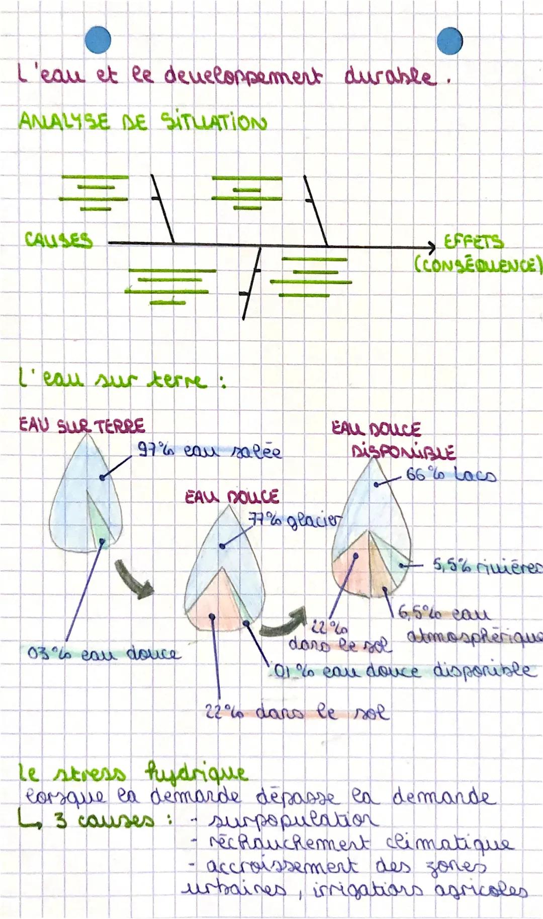 L'eau et le developpement durable
ANALYSE DE SITLLATION
CAUSES
l'eau sur terre :
EAU SUR TERRE
97% eau salée
03% eau douce
EAU DOUCE
EAU DOU