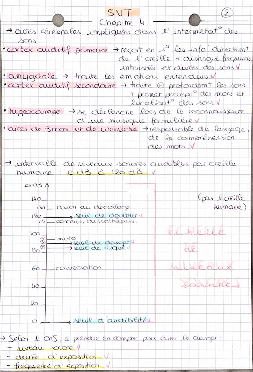 Anatomie de l'creille.
creille externe
2
A
1- pavillon 2
tympan
1-
-
SVT
Chapitre 4
-
-
O
2 marteau
3
4
31
conduit auditif externe.
enclume 