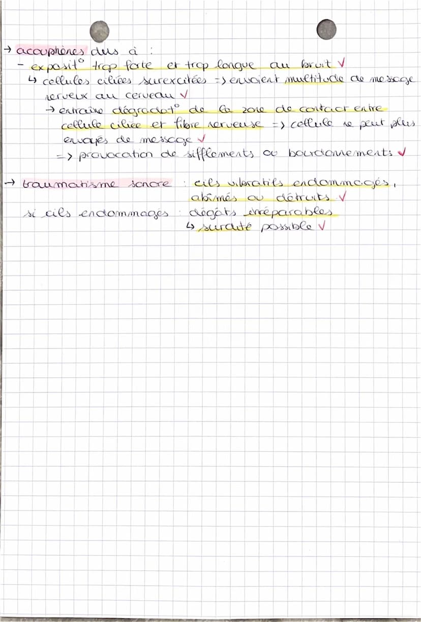 Anatomie de l'creille.
creille externe
2
A
1- pavillon 2
tympan
1-
-
SVT
Chapitre 4
-
-
O
2 marteau
3
4
31
conduit auditif externe.
enclume 