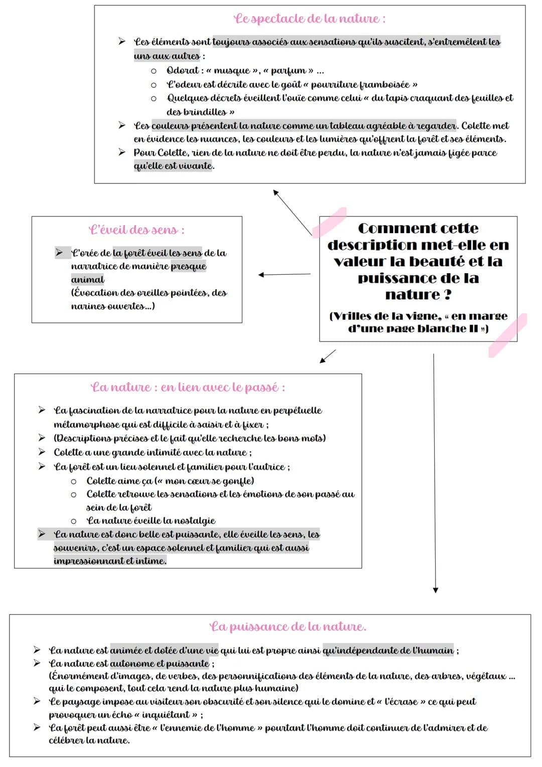 Comment Colette célèbre-t-elle sa mère?
> Colette rend hommage à sa mère;
(« célébrer », « chanter » qui ouvrent
extrait
> Raconte plusieurs