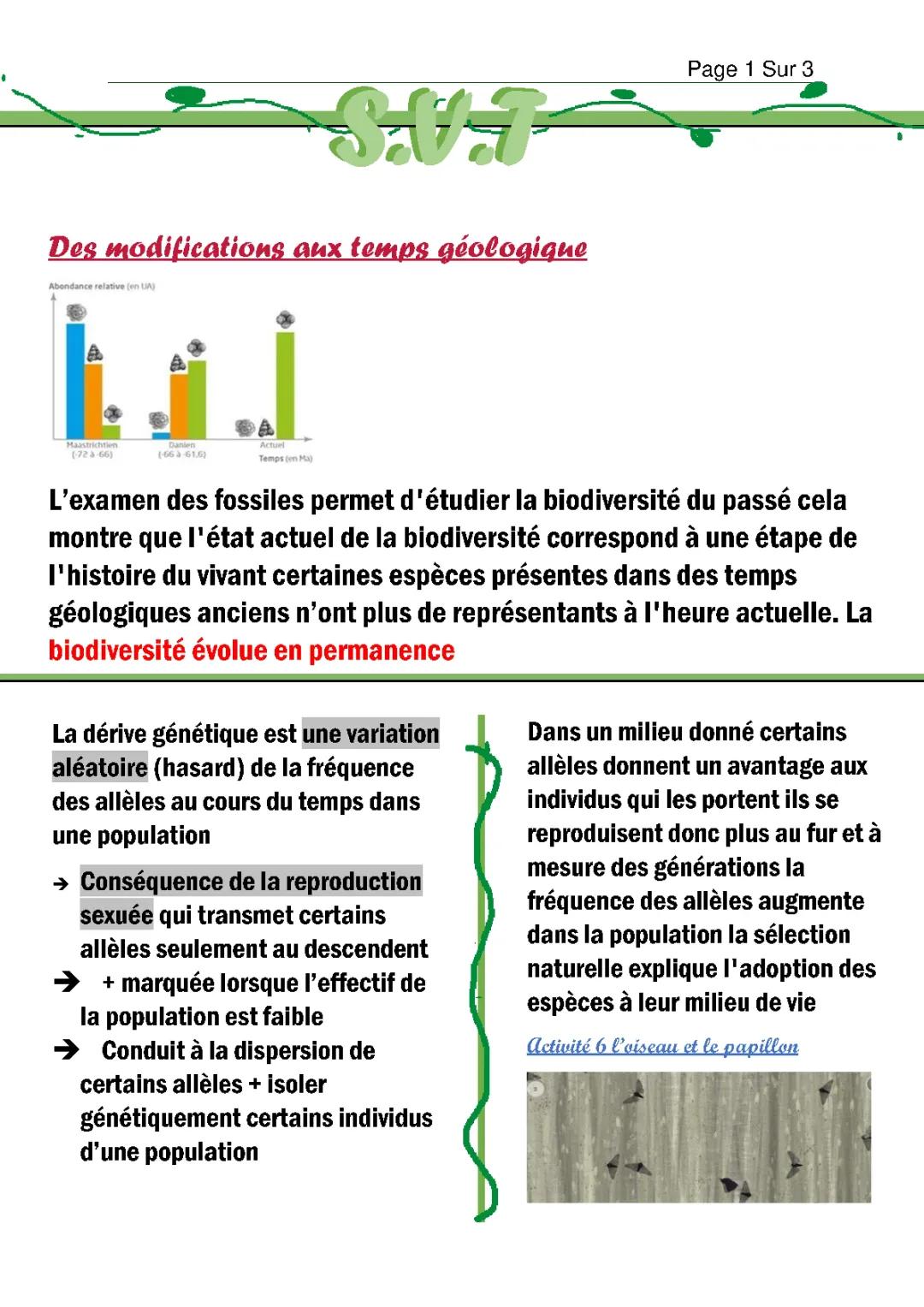Quelles formes peut prendre le vivant 
