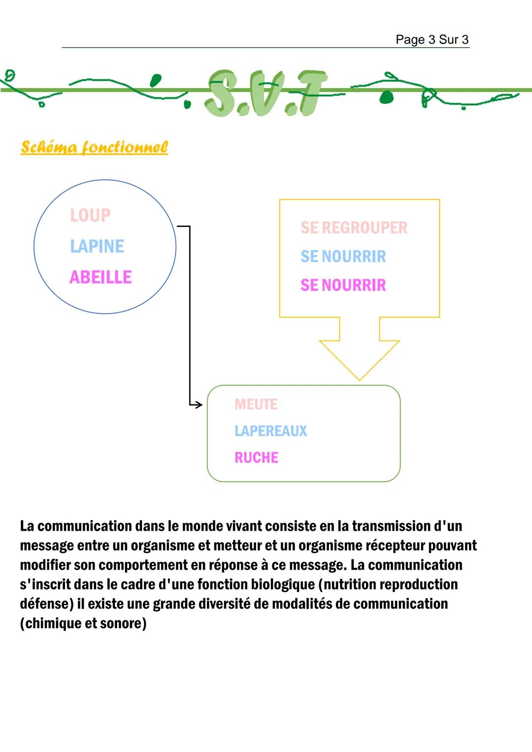 Des modifications aux temps géologique
Abondance relative (en UA)
Maastrichtien
(-723-66)
Danien
(-66à-61,6)
SUT
Actuel
Temps (en Ma)
L'exam