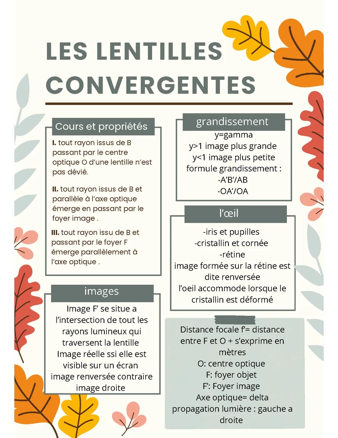 les lentilles minces convergentes