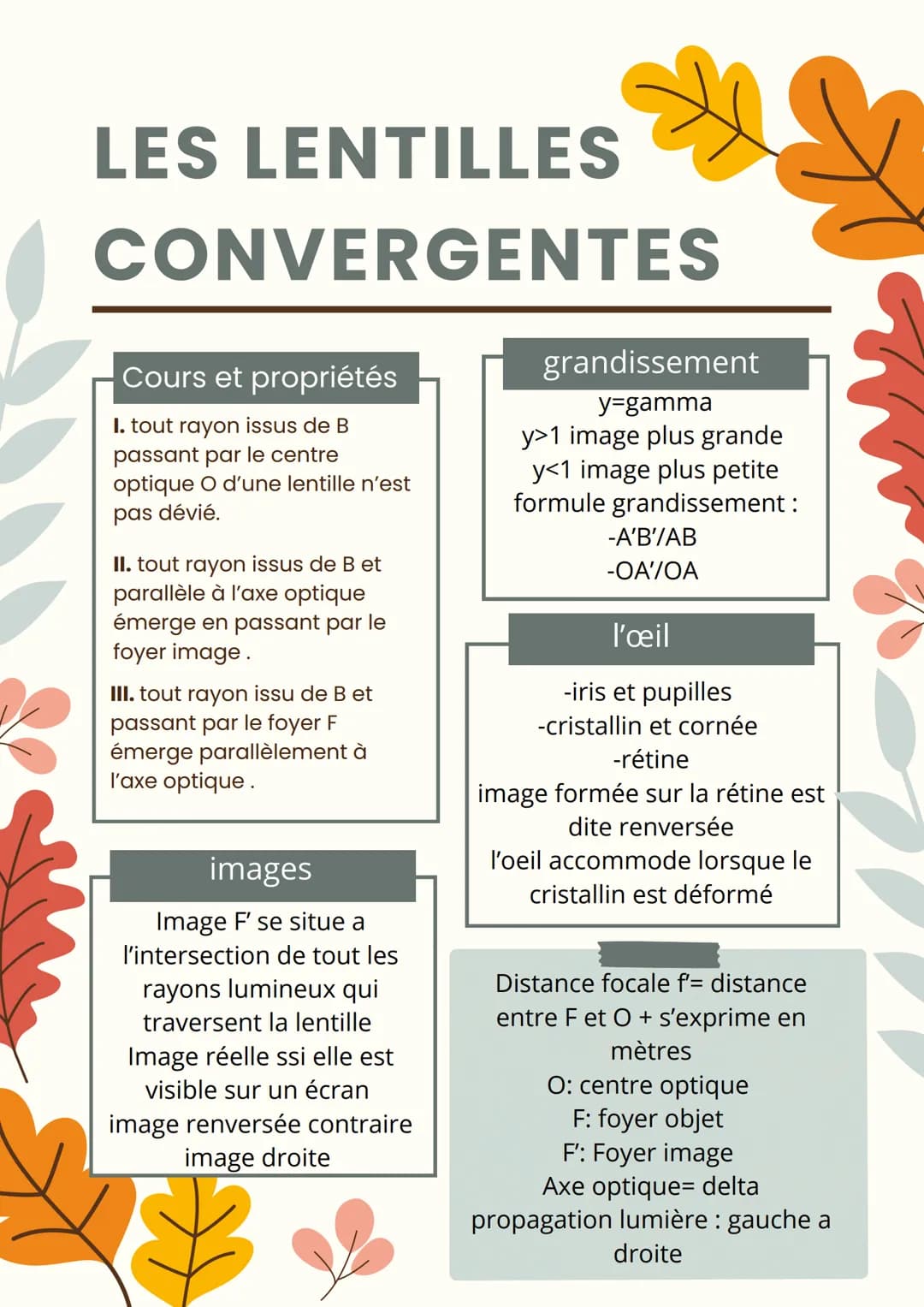 LES LENTILLES
CONVERGENTES
Cours et propriétés
I. tout rayon issus de B
passant par le centre
optique O d'une lentille n'est
pas dévié.
II. 