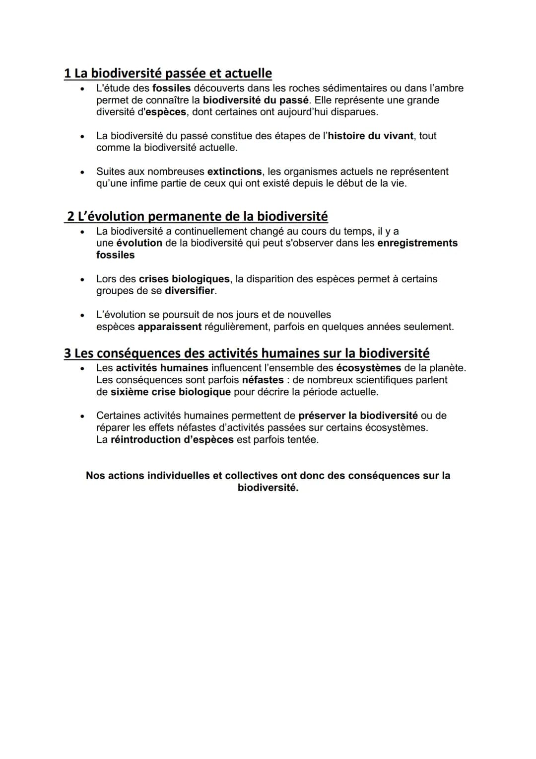 1 La biodiversité passée et actuelle
L'étude des fossiles découverts dans les roches sédimentaires ou dans l'ambre
permet de connaître la bi