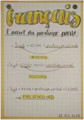 Know ACCORDS PARTICIPE PASSÉ thumbnail