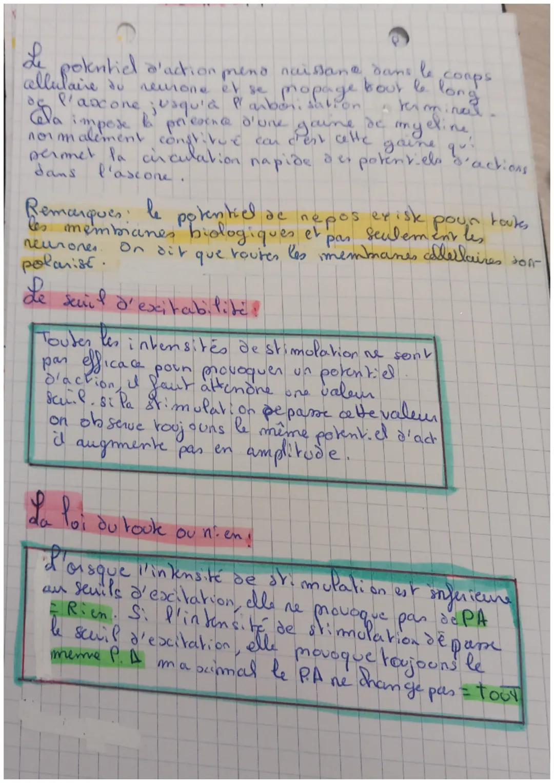 # bph

Physiologie neuromusdaire

Potentiel de nepos

C'est la difference de potentiel
qui eaciste entre l'exterieur
et P'interieure de pl'a