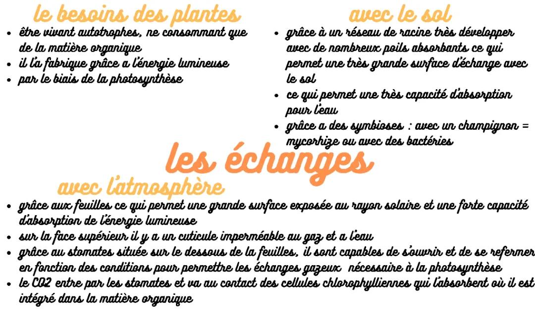 l'organisation fonctionnelle  de la plante