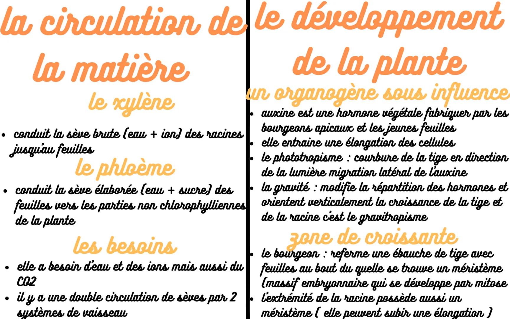 le besoins des plantes
être vivant autotrophes, ne consommant que
de la matière organique
il l'a fabrique grâce a l'énergie lumineuse
• par 