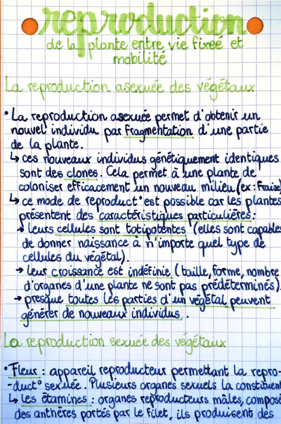 # reproductiono

de la
la plante entre vie fixee et
mobilité

La reproduction, asexuée des végétaux

•La reproduction asexuée permet d'obten