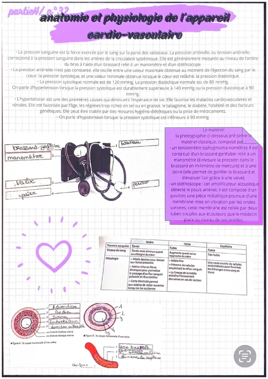 partiel/n 31
●
●
anatomie et physiologie de l'appareil
eardio-vasculaire
●
Artère
pulmonaire
Veines
caves
Fole
-Cerveau
Veine
-Poumons
Les a