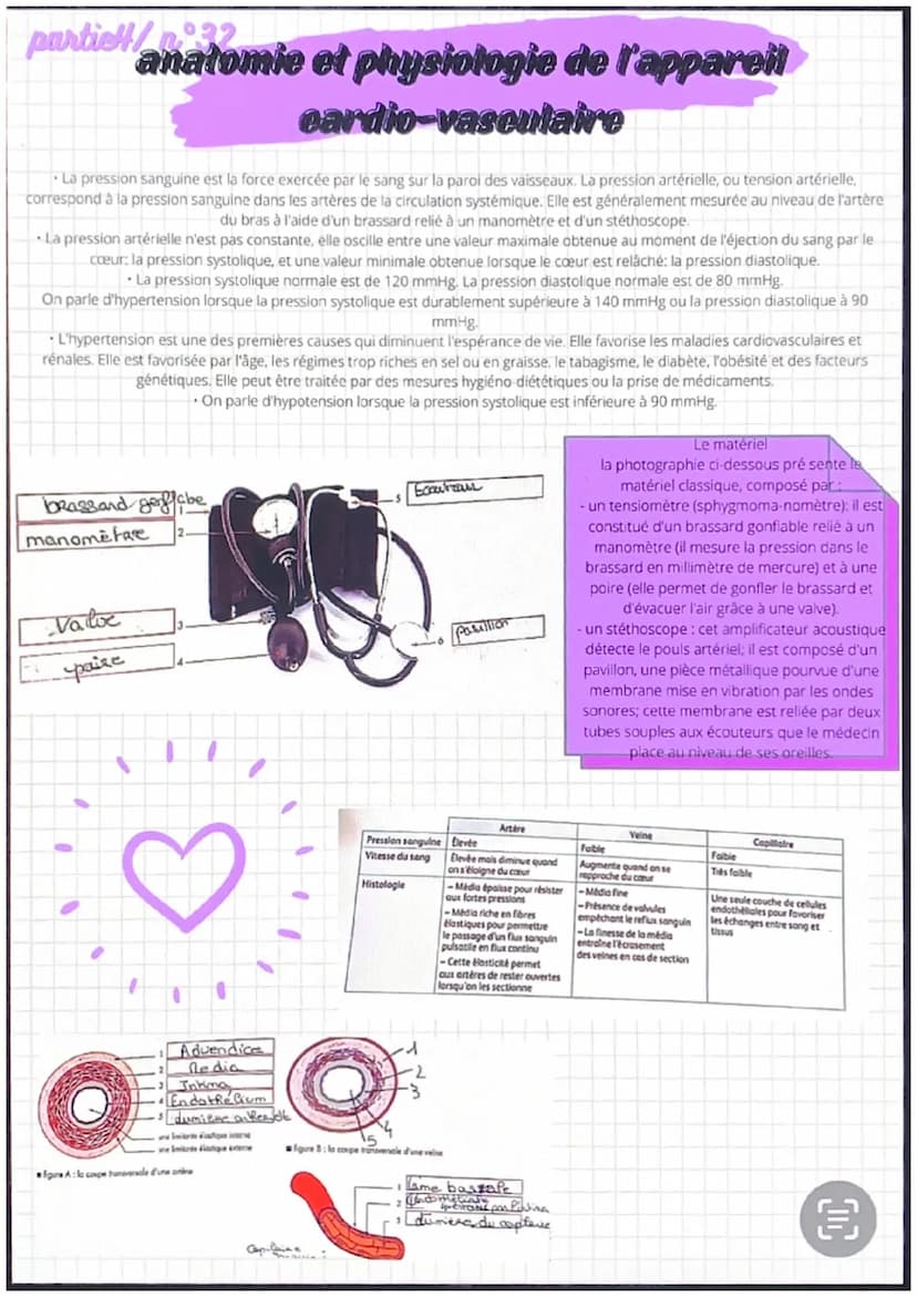 partiel/n 31
●
●
anatomie et physiologie de l'appareil
eardio-vasculaire
●
Artère
pulmonaire
Veines
caves
Fole
-Cerveau
Veine
-Poumons
Les a