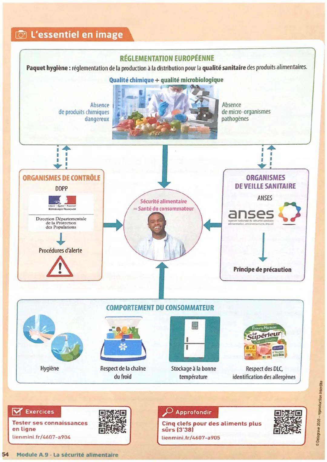 L'essentiel en image
RÉGLEMENTATION EUROPÉENNE
Paquet hygiène : réglementation de la production à la distribution pour la qualité sanitaire 