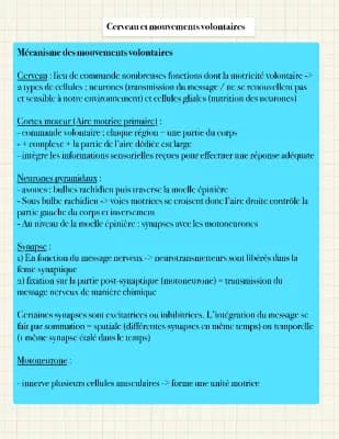Know Cerveau et mouvements volontaires thumbnail