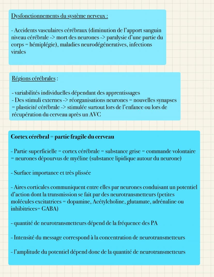 Mécanisme des mouvements volontaires
Cerveau et mouvements volontaires
Cerveau lieu de commande nombreuses fonctions dont la motricité volon