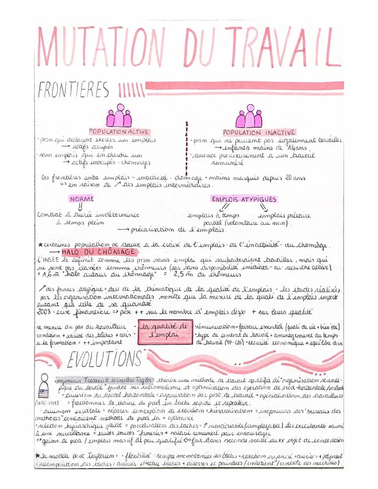 Know MUTATION DU TRAVAIL ET DE L’EMPLOI  thumbnail