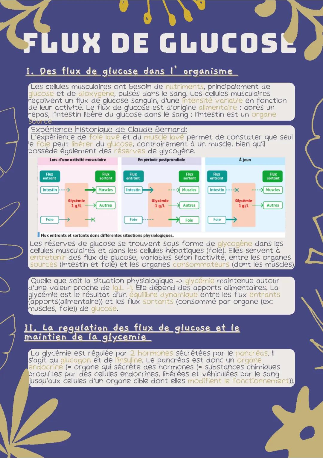 Sujet bac SVT : Le contrôle des flux de glucose et la régulation de la glycémie