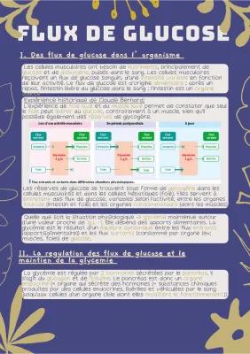 Know LE CONTRÔLE DES FLUX DE GLUCOSE, SOURCE ESSENTIELLE D’ÉNERGIE DES CELLULES MUSCULAIRES thumbnail