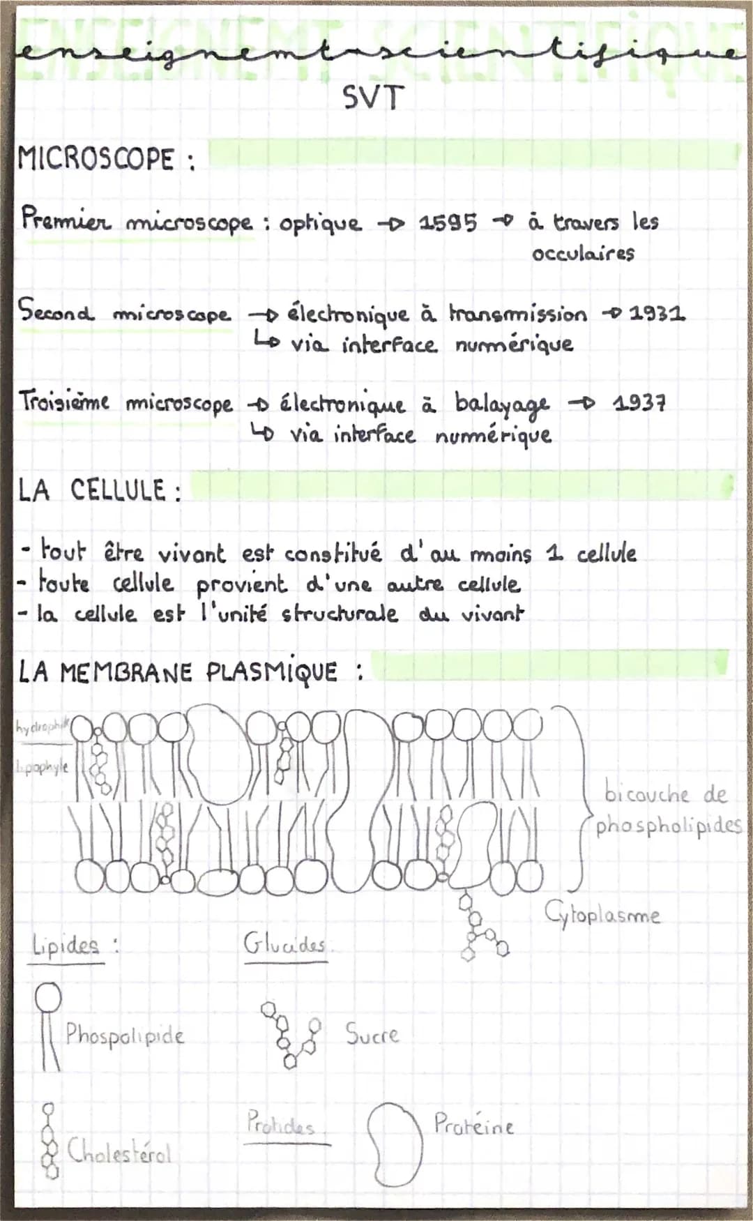 cristaux enseignement scientifique 