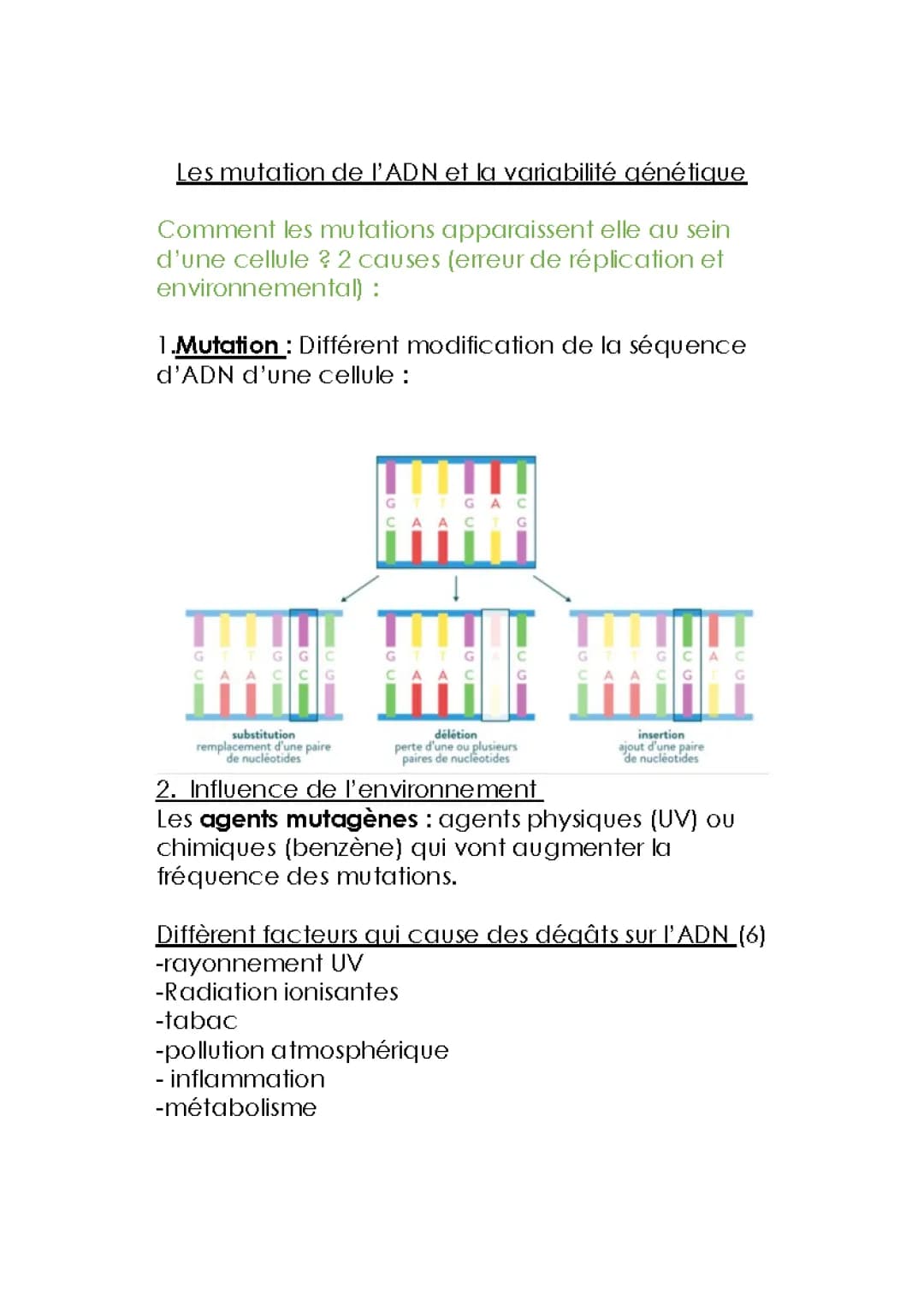 les mutations de l’ADN et la variabilité génétique 