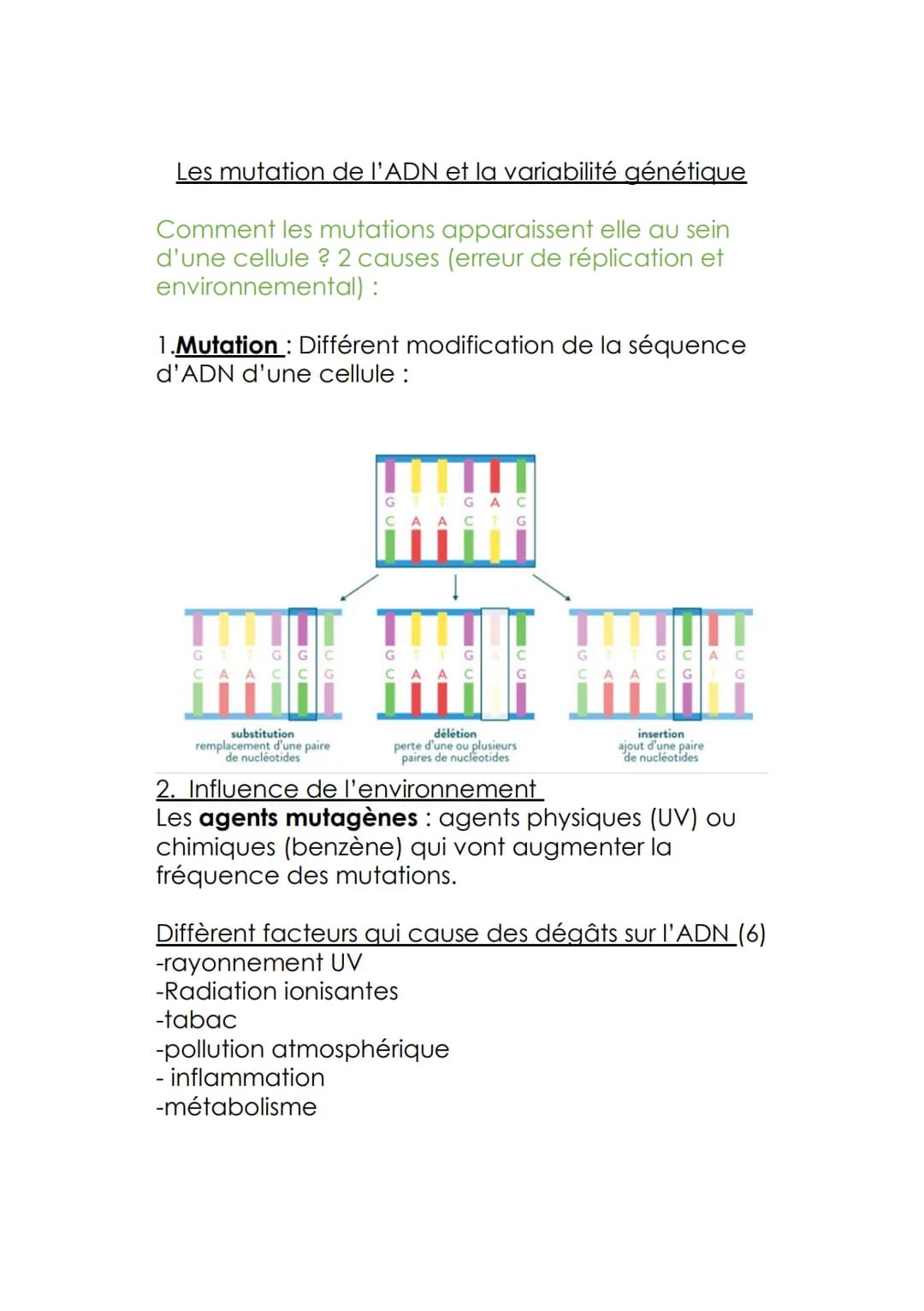 Les mutation de l'ADN et la variabilité génétique
Comment les mutations apparaissent elle au sein
d'une cellule? 2 causes (erreur de réplica