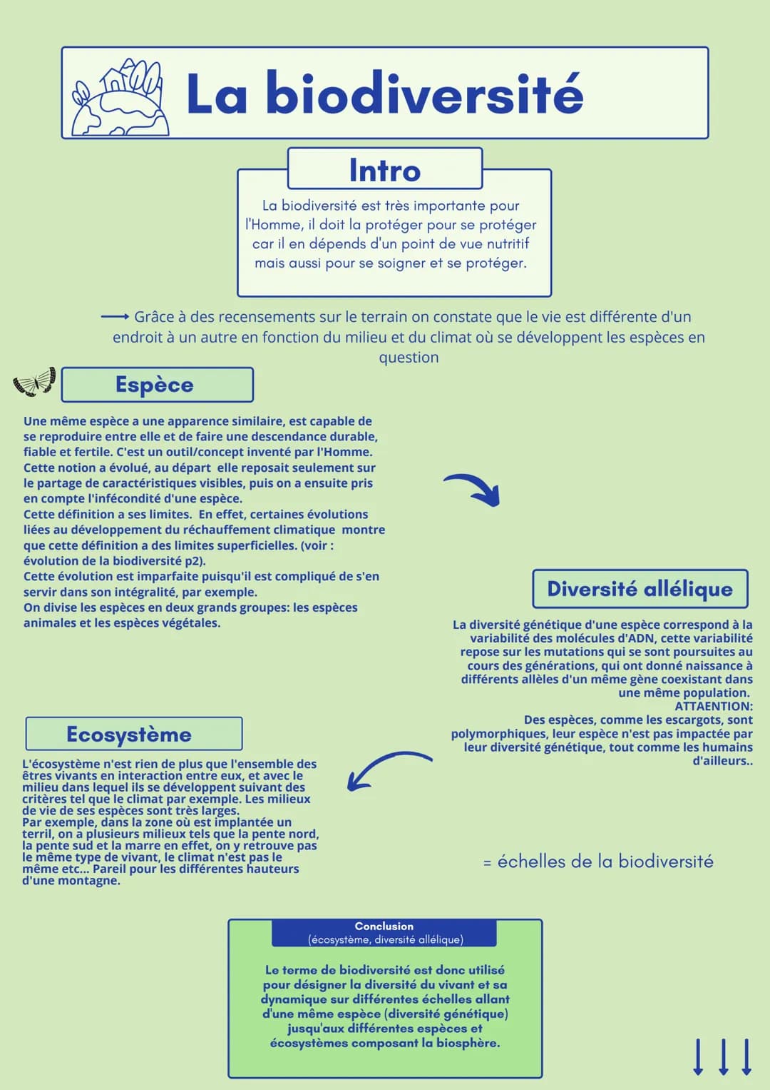 La biodiversité
Intro
La biodiversité est très importante pour
l'Homme, il doit la protéger pour se protéger
car il en dépends d'un point de