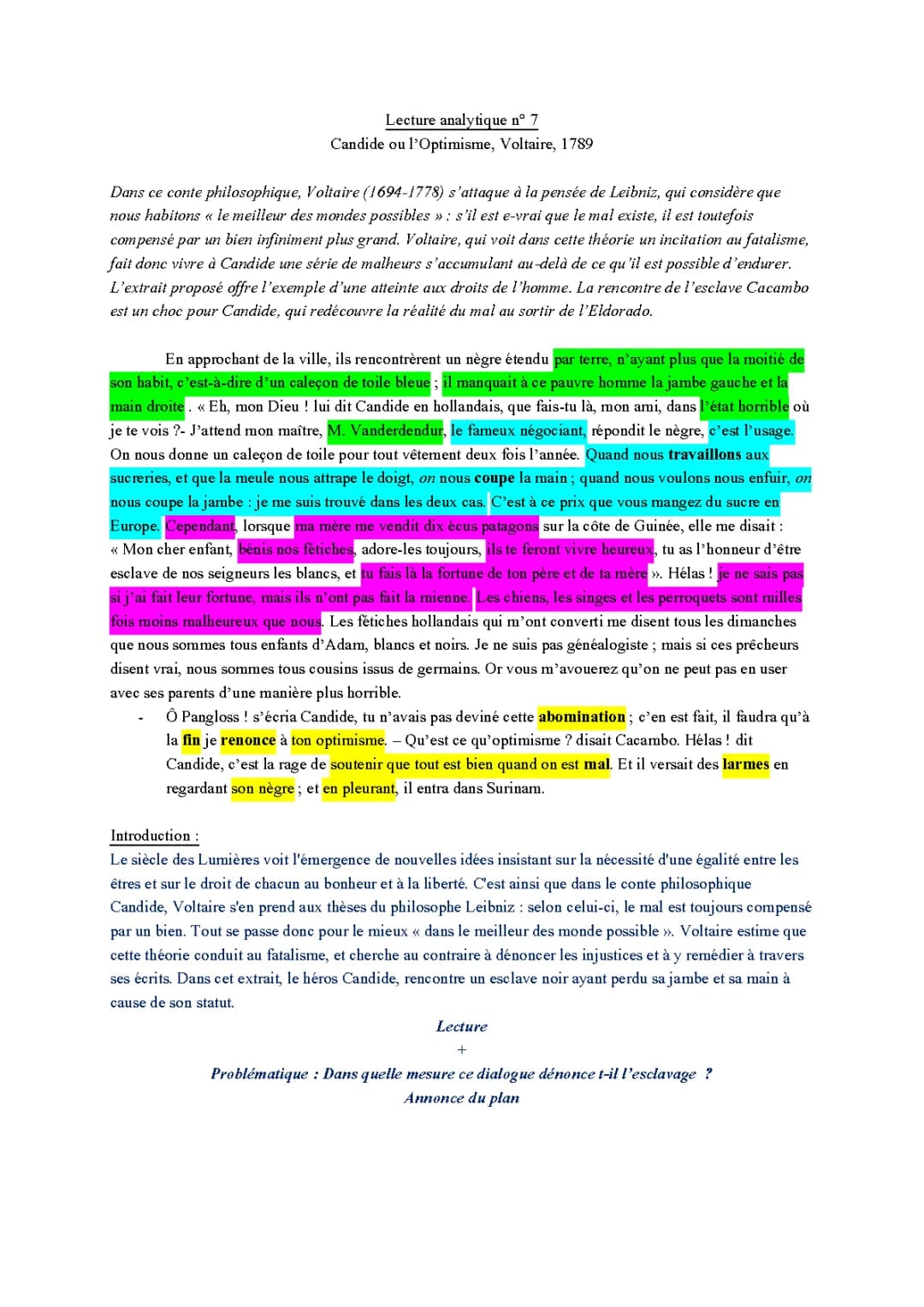 Candide ou l'optimisme analyse linéaire - Chapitre 19, Analyse des thèmes et résumé