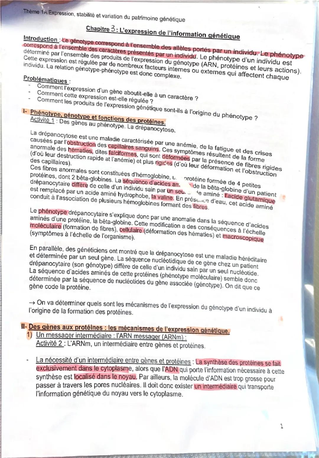Thème 1A Expression, stabilité et variation du patrimoine génétique
Chapitre 3: L'expression de l'information génétique
Introduction: Le gen