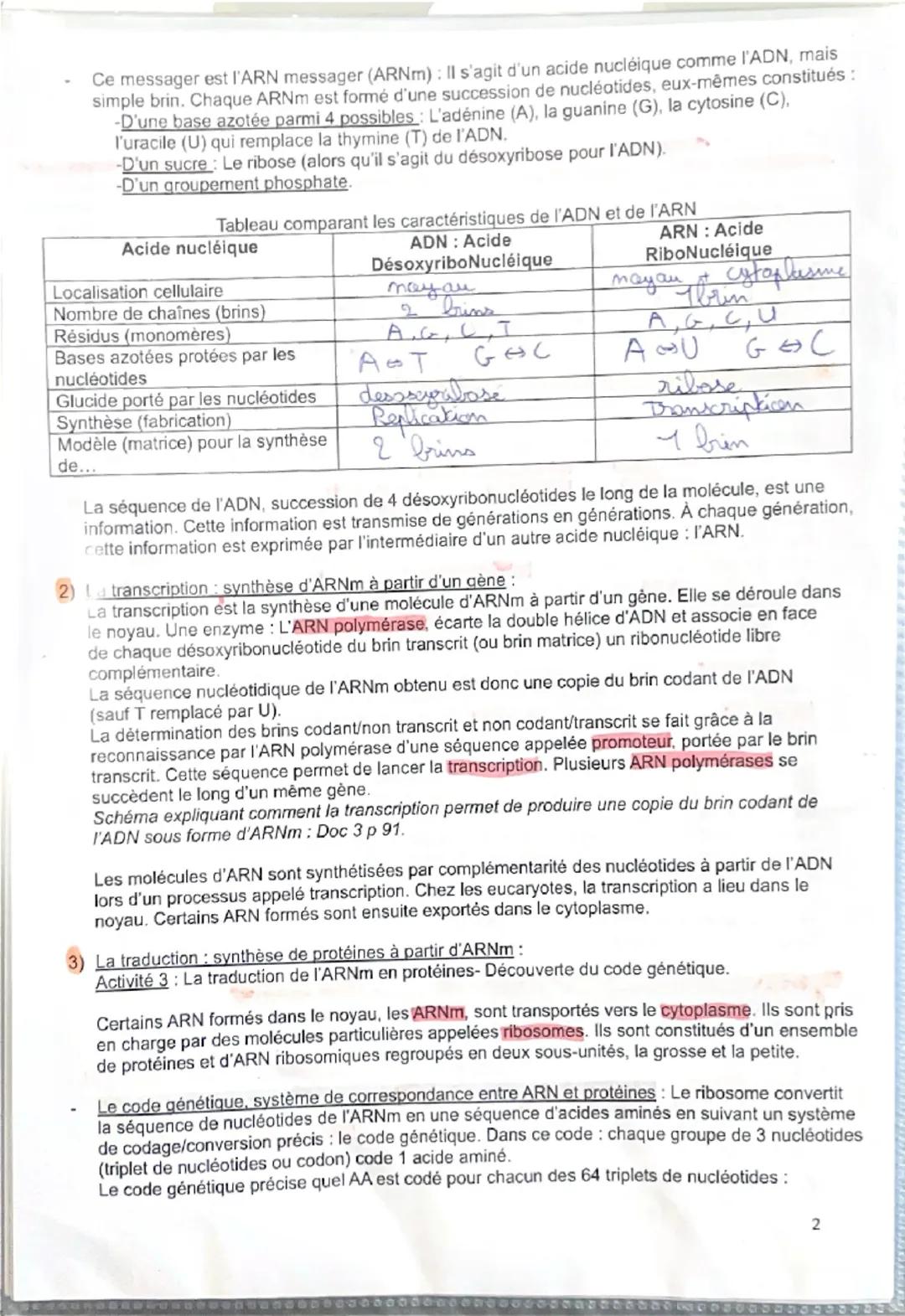 Thème 1A Expression, stabilité et variation du patrimoine génétique
Chapitre 3: L'expression de l'information génétique
Introduction: Le gen