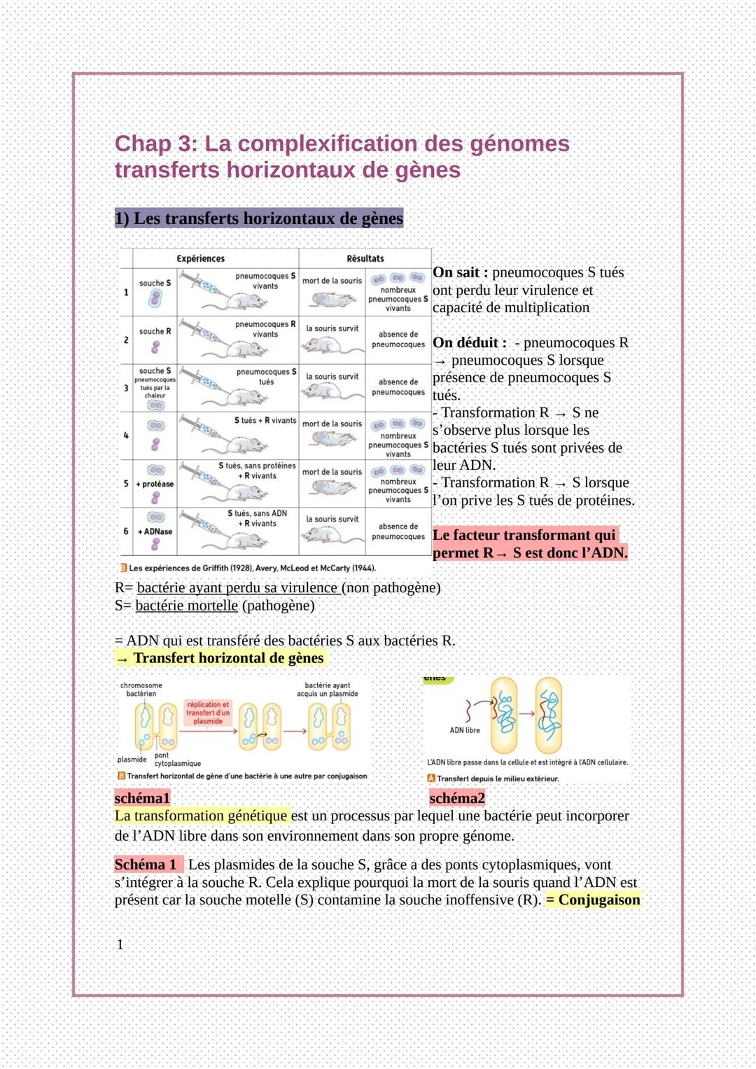 Transferts Génétiques Horizontaux: Rôle et Impact
