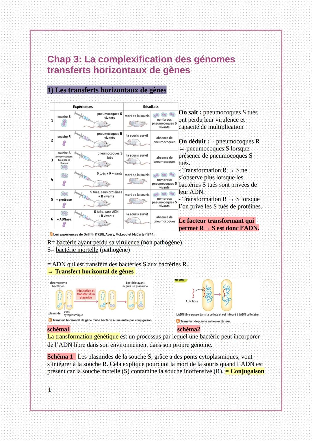 Chap 3: La complexification des génomes
transferts horizontaux de gènes
1) Les transferts horizontaux de gènes
1
2
4
6
souche S
souche R
8
s