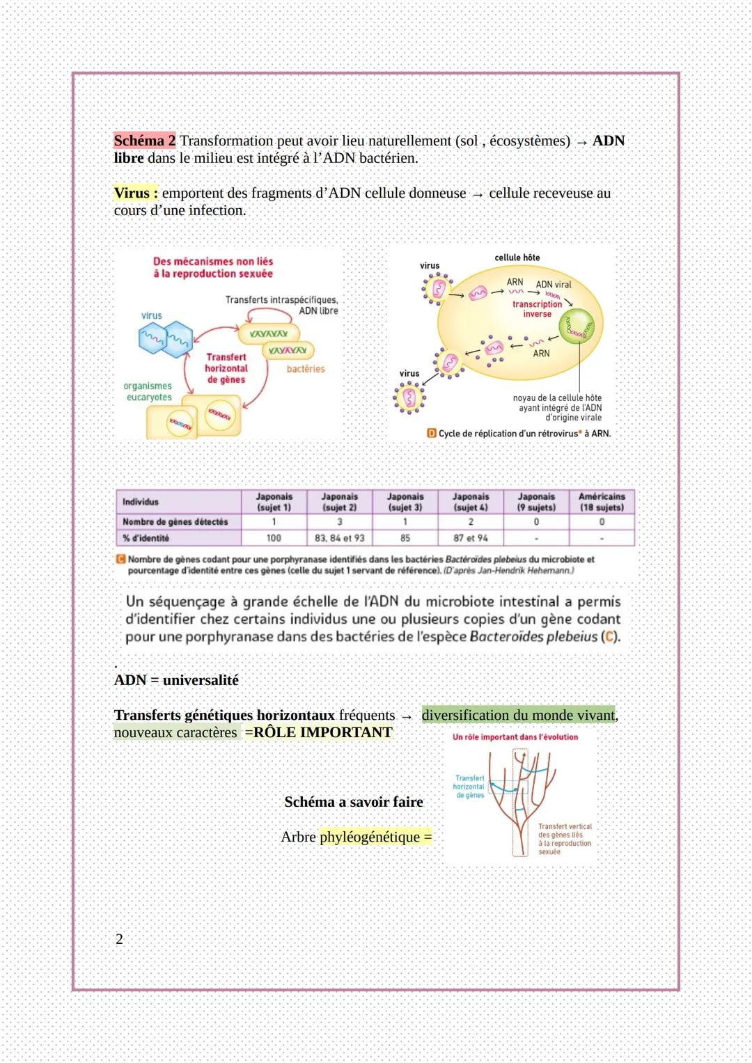 Chap 3: La complexification des génomes
transferts horizontaux de gènes
1) Les transferts horizontaux de gènes
1
2
4
6
souche S
souche R
8
s