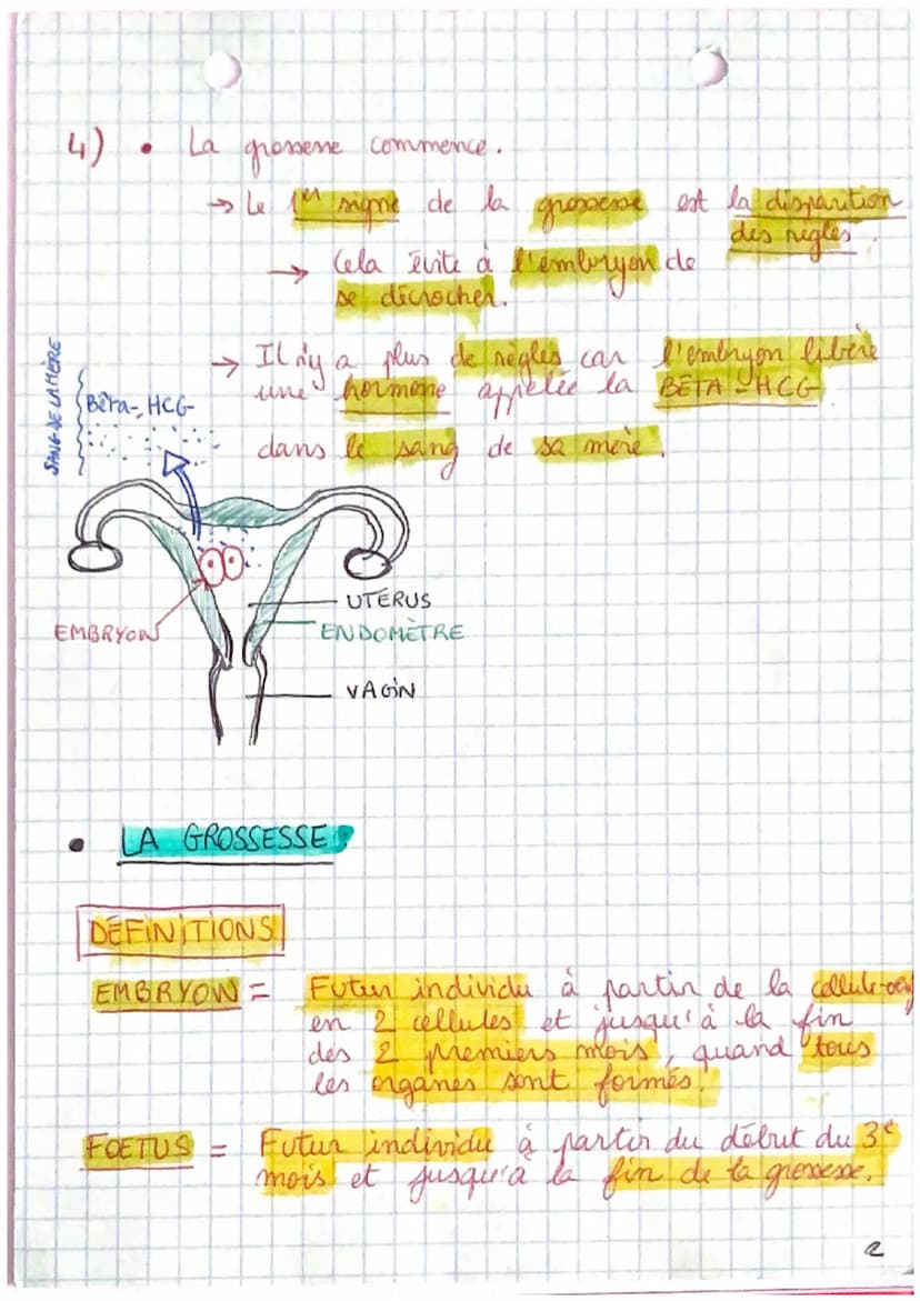 S.V.T
CHAPITRE III: DE LA FECONDATION
A LA NAISSANCE
PB: Comment les fonctionnements reproducteurs.
feminins et masculins s'assemblent-ils p