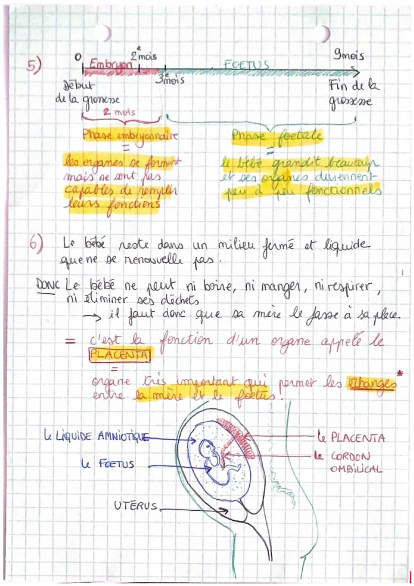 S.V.T
CHAPITRE III: DE LA FECONDATION
A LA NAISSANCE
PB: Comment les fonctionnements reproducteurs.
feminins et masculins s'assemblent-ils p