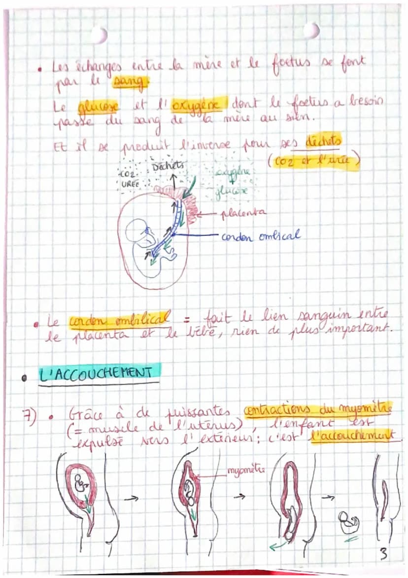 S.V.T
CHAPITRE III: DE LA FECONDATION
A LA NAISSANCE
PB: Comment les fonctionnements reproducteurs.
feminins et masculins s'assemblent-ils p