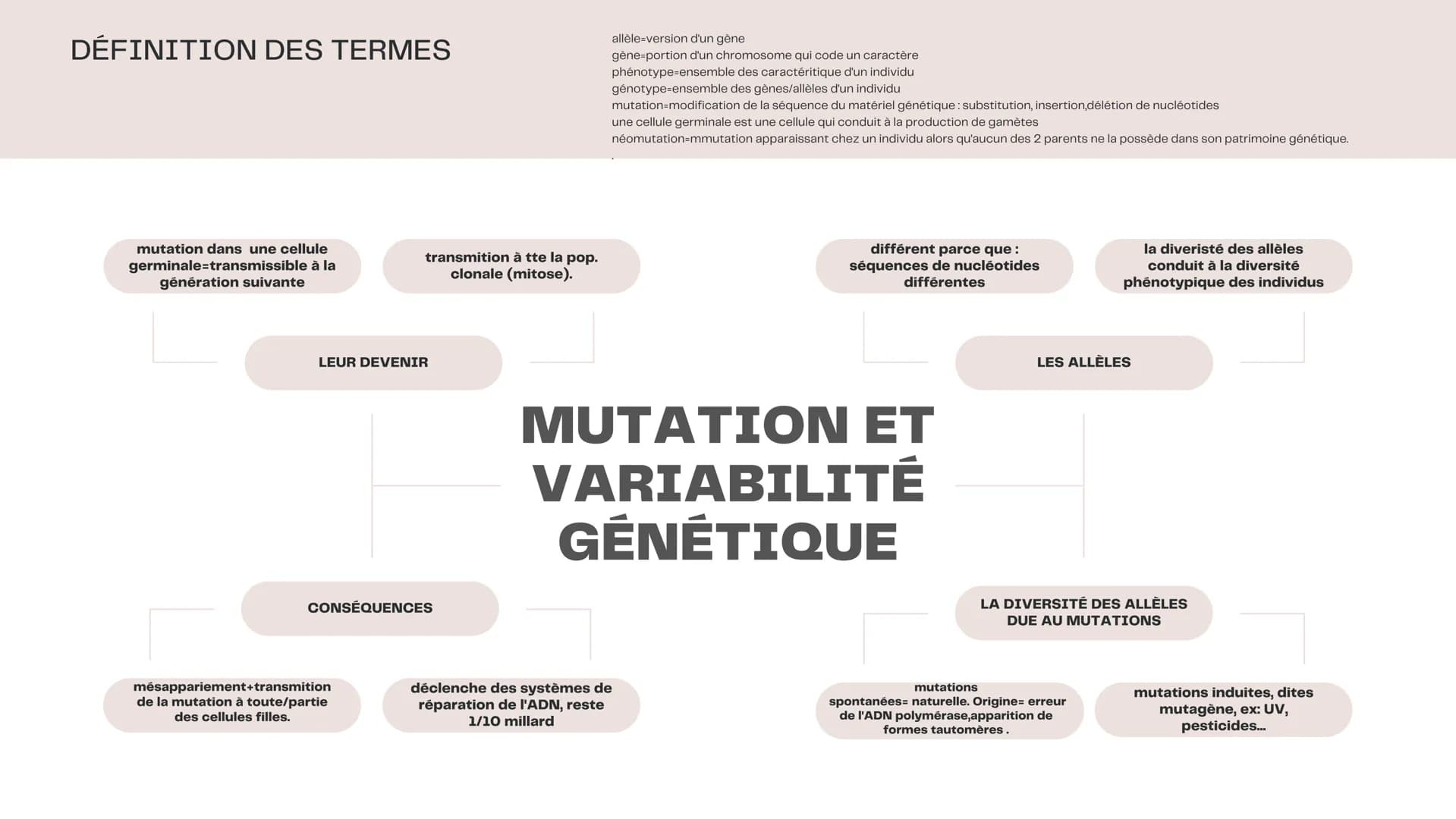 DÉFINITION DES TERMES
mutation dans une cellule
germinale transmissible à la
génération suivante
transmition à tte la pop.
clonale (mitose).