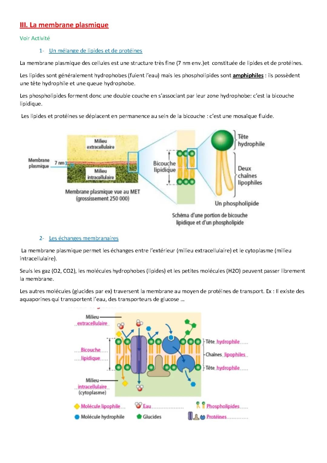 La membrane cytoplasmique 