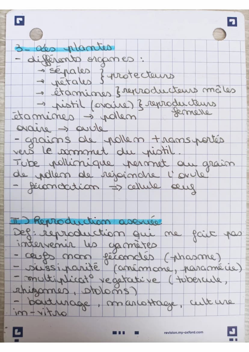 SVT: Reproduction servée
et asexuée chez les animaux
et les plantes
I) Reproduction Devuée
L'oursin
fecondation externe
gamètes dans l'eau.
