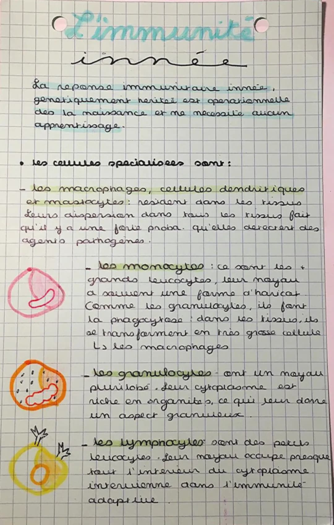  Sciences/SVT : L’immunité