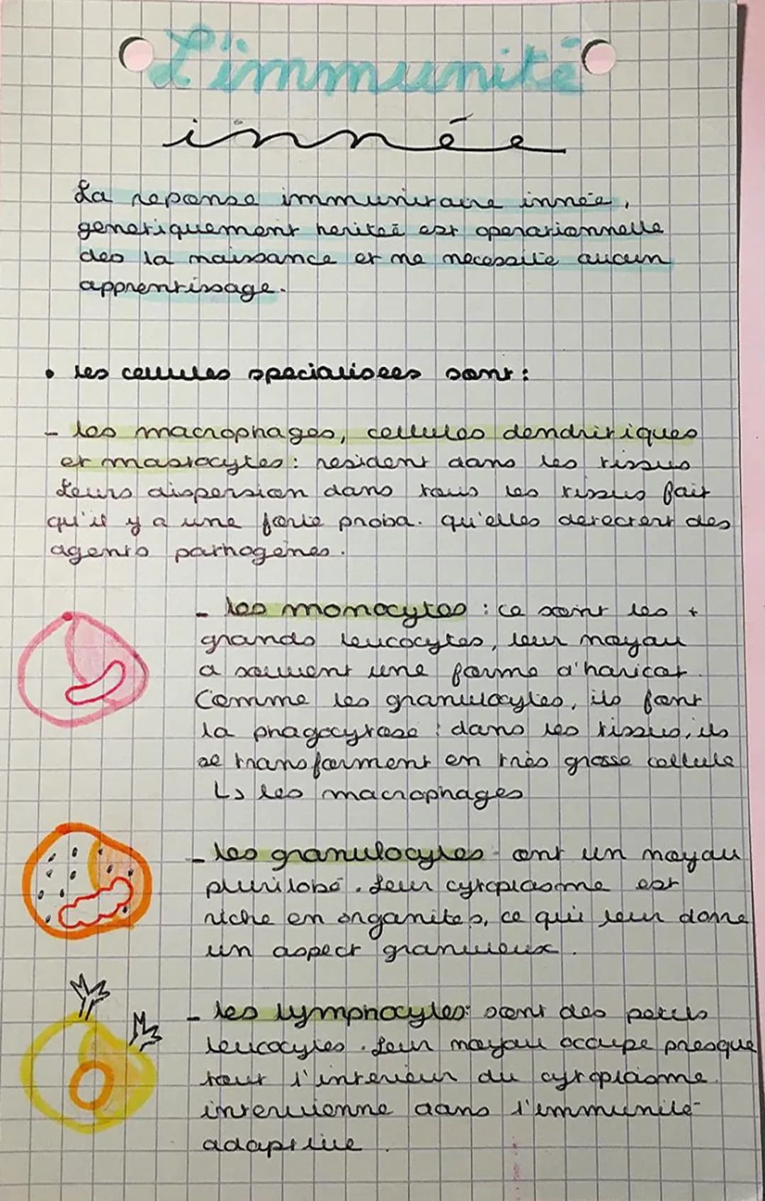 Cimmunit C
La reponse immunitaire innée,
generiquement herited est operationnelle
naissance et me necessite aucun
des la
apprentissage.
3
• 