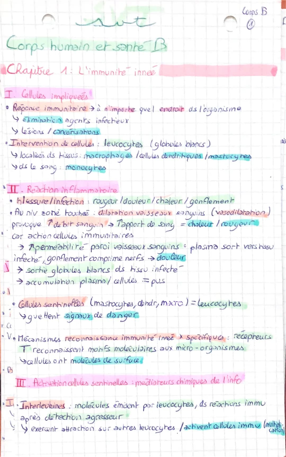 عست
Corps humain et sonte B
Chapitre 1 : L'immunite innee
I. Cellules impliquées!
• Reponse immunitaire → à n'importe quel endroit as l'orga