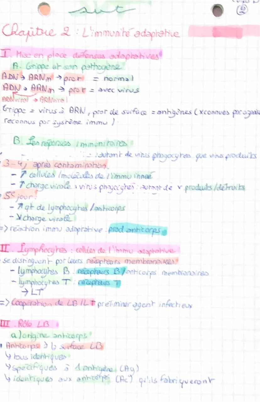 عست
Corps humain et sonte B
Chapitre 1 : L'immunite innee
I. Cellules impliquées!
• Reponse immunitaire → à n'importe quel endroit as l'orga