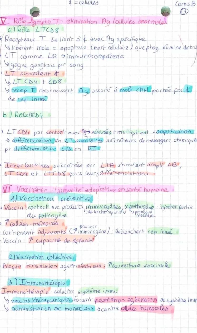 عست
Corps humain et sonte B
Chapitre 1 : L'immunite innee
I. Cellules impliquées!
• Reponse immunitaire → à n'importe quel endroit as l'orga