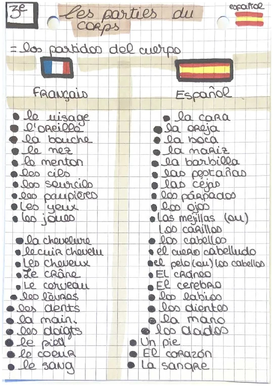 Aprende las partes de la casa, el cuerpo y más en francés