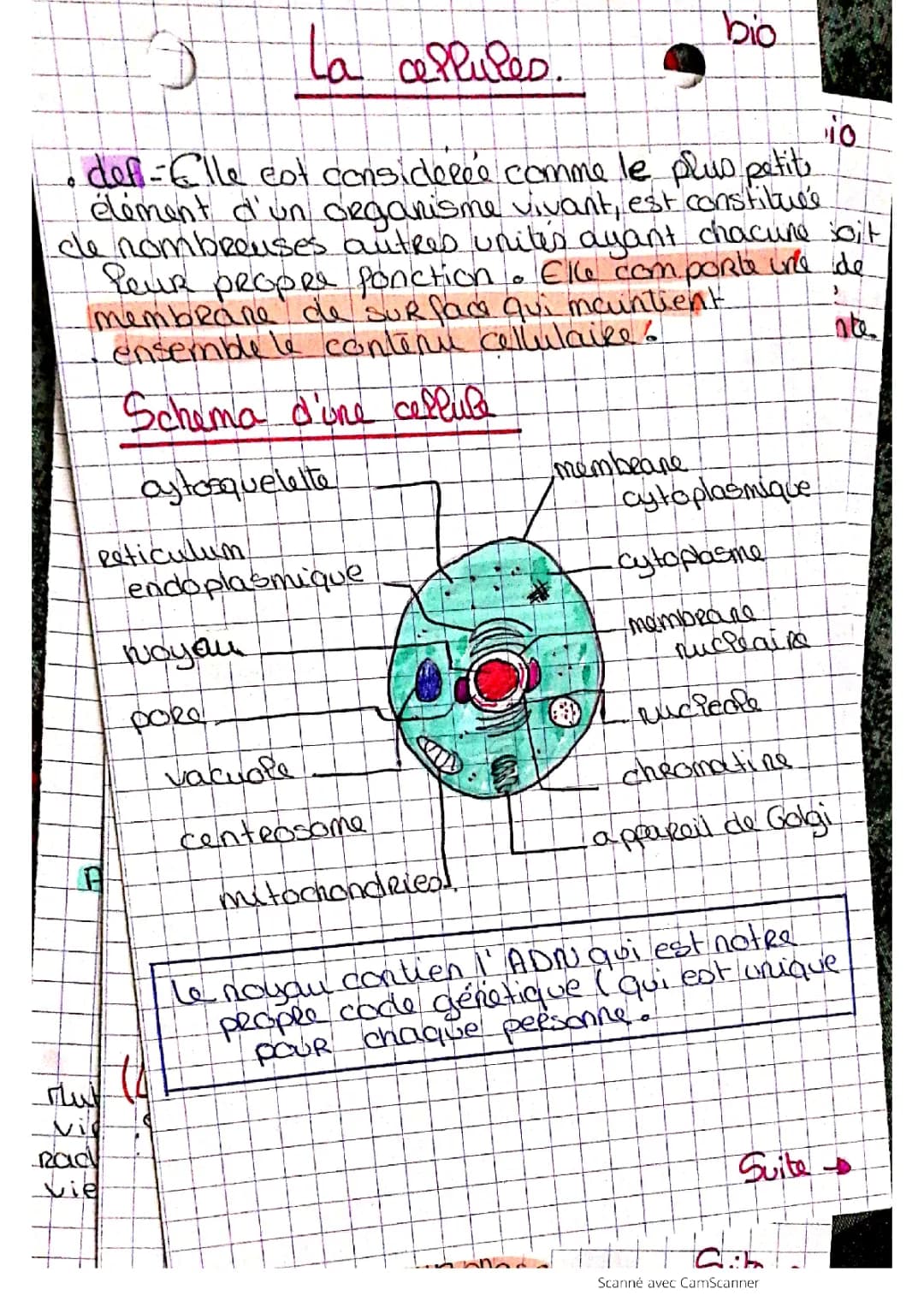 les cellules 