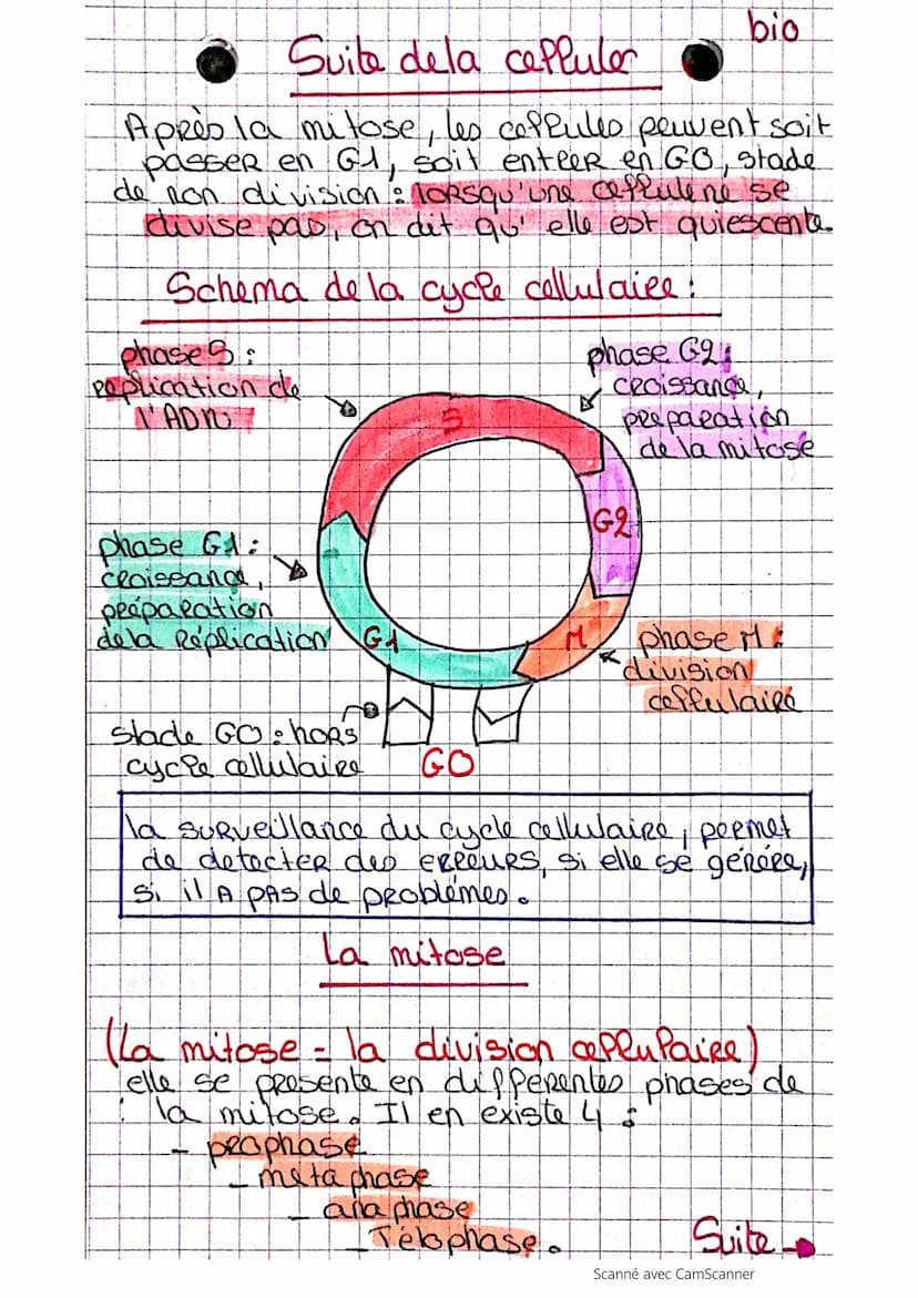 J
La cellules.
def-Elle est considérée comme le plus petite
élément d'un organisme vivant, est constituée
cle nombreuses autres unités ayant