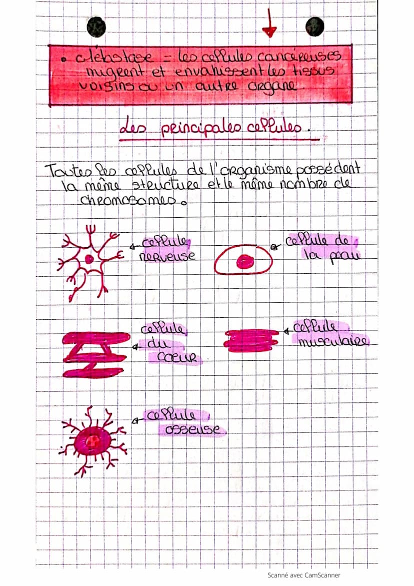 J
La cellules.
def-Elle est considérée comme le plus petite
élément d'un organisme vivant, est constituée
cle nombreuses autres unités ayant
