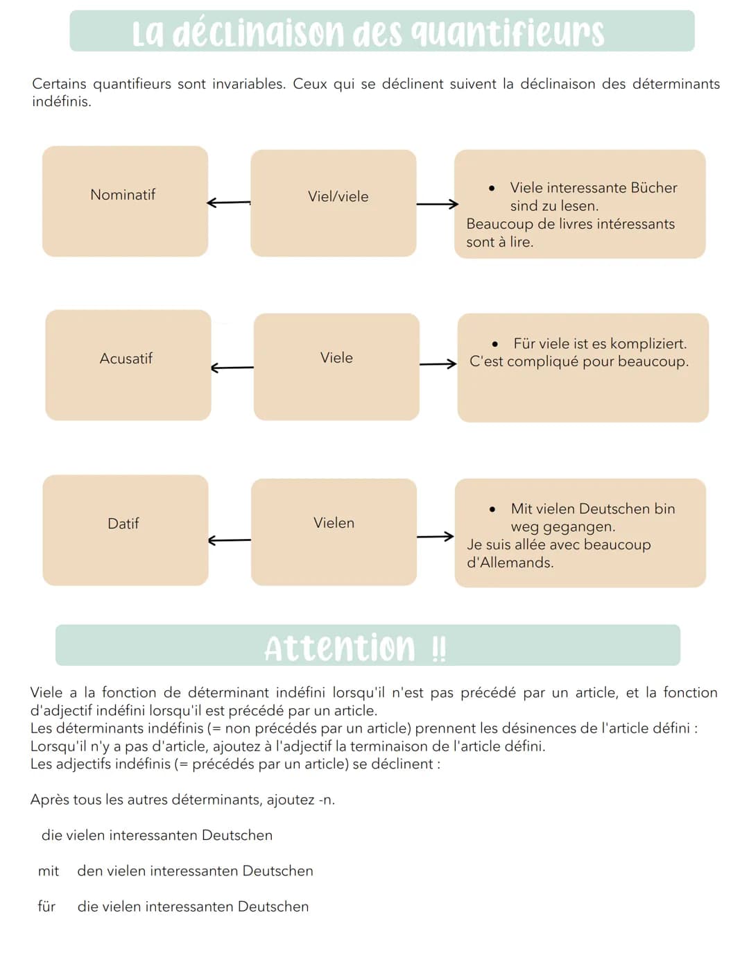 Les quantifieurs numéraux
Les quantifieurs numéraux sont utilisés pour exprimer
le nombre et le rang.
Les nombres cardinaux tels
que eins,
n